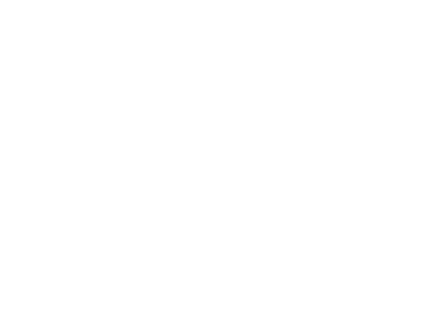 The Brutalist