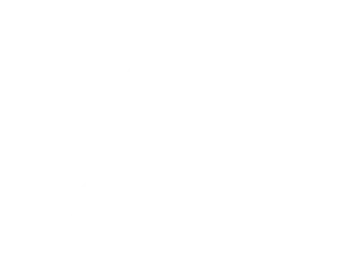 The Stolen Girl
